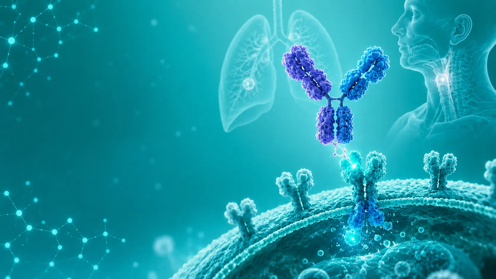 Molecular Interaction in Cells