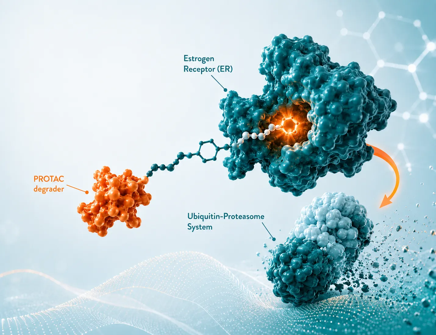 PROTAC Mechanism